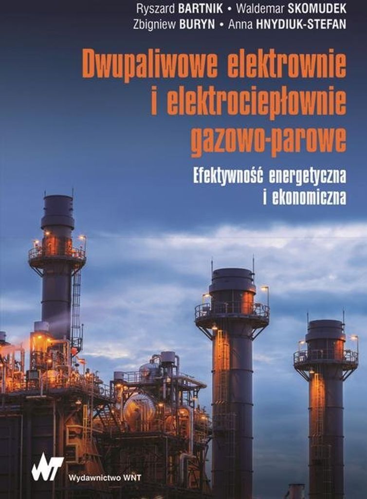 Mit zwei Brennstoffen befeuerte Gaskraftwerke und Kraft-Wärme-Kopplungsanlagen - Ryszard Bartnik, Waldemar Skomudek, Zbigniew Buryn, Anna Hnydiuk-...