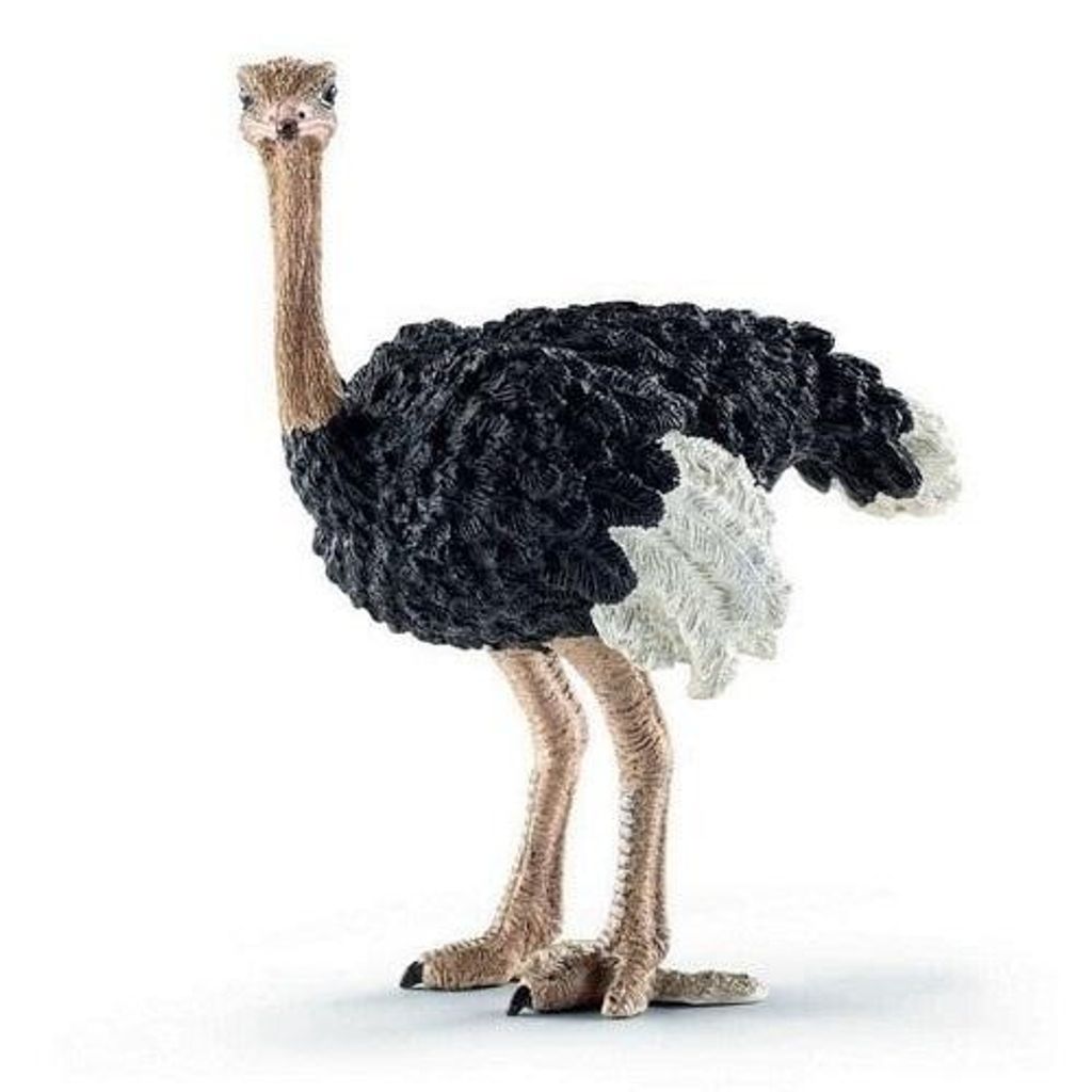 Collecta - Struzzo -L- 88459 (90188459) COLECTA Immagine del prodotto 