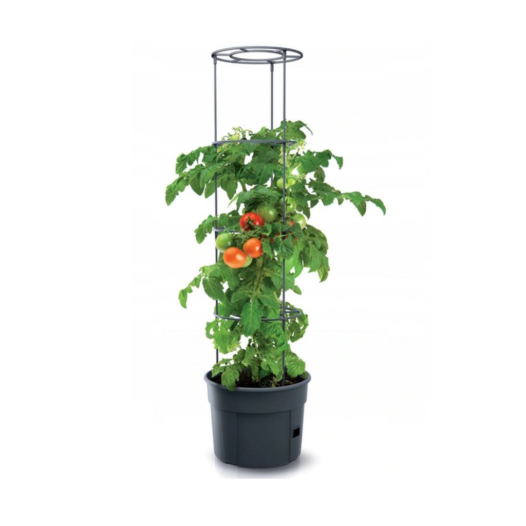Topf für 28L Tomatenpflanze Pflanzkübel