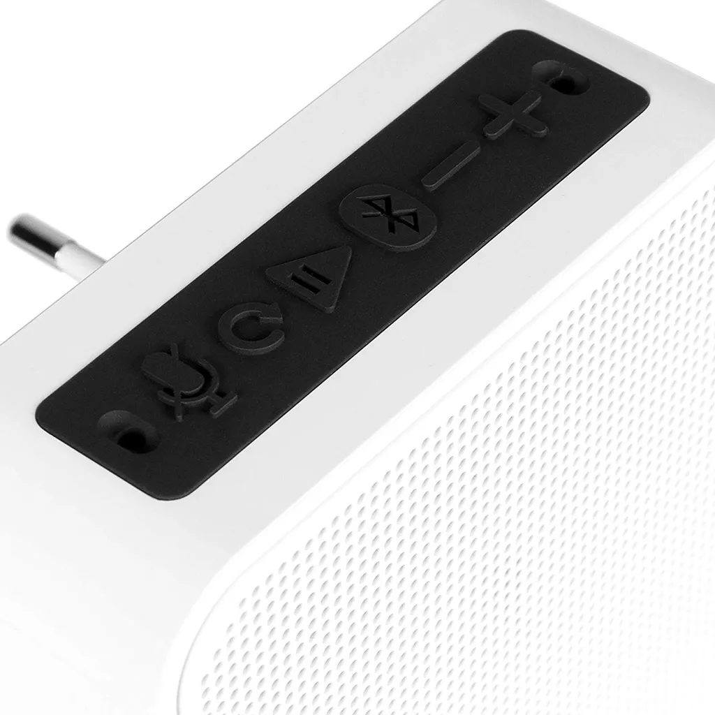 Blaupunkt PVA 100 Enceinte Connectée Google Assistant et Chromecast Intégré