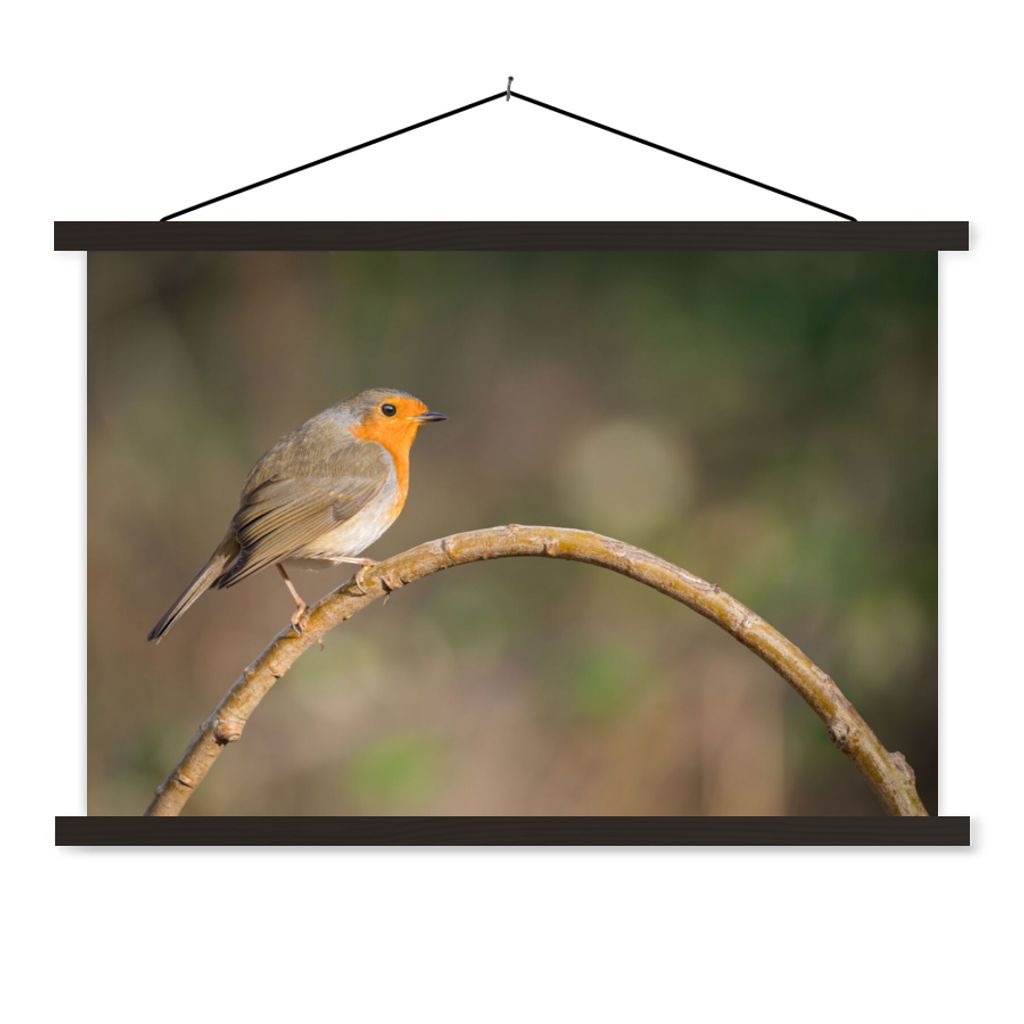MuchoWow Textilposter Rotkehlchen - Vogel - Natur 60x40 cm mit schwarzem Rahmen - Hölzernes