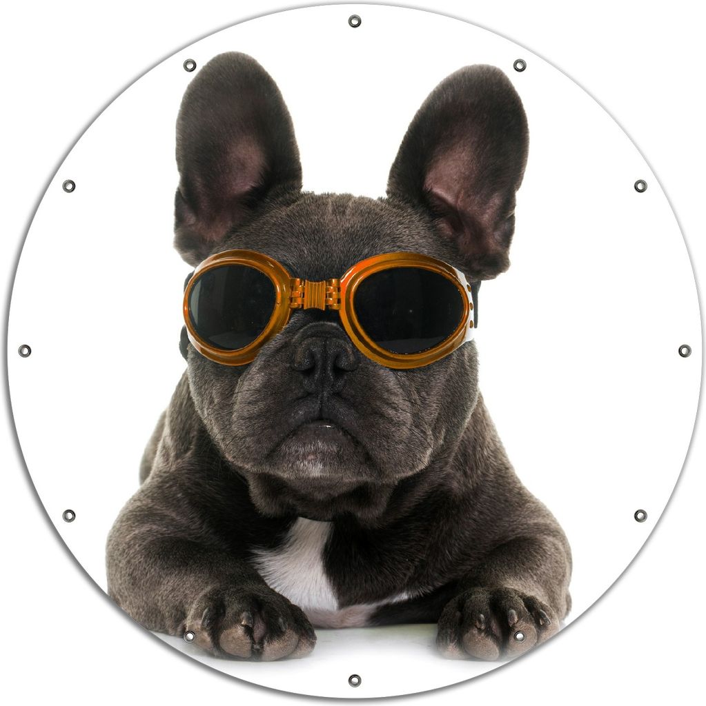 Wallario rundes Outdoor-Poster für Garten oder Balkon, Motiv Cooler Hund mit Sonnenbrille in orange - Französische Bulldogge, 120 cm Durchmesser