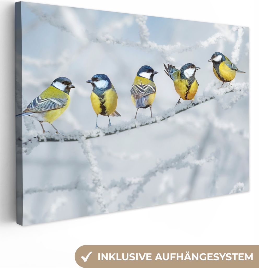 MuchoWow - Leinwandbilder - Vogel - Kohlmeise - Winter - Schnee - Zweige, Wandbild, Wanddeko Bilder Wohnzimmer, 30x20 cm