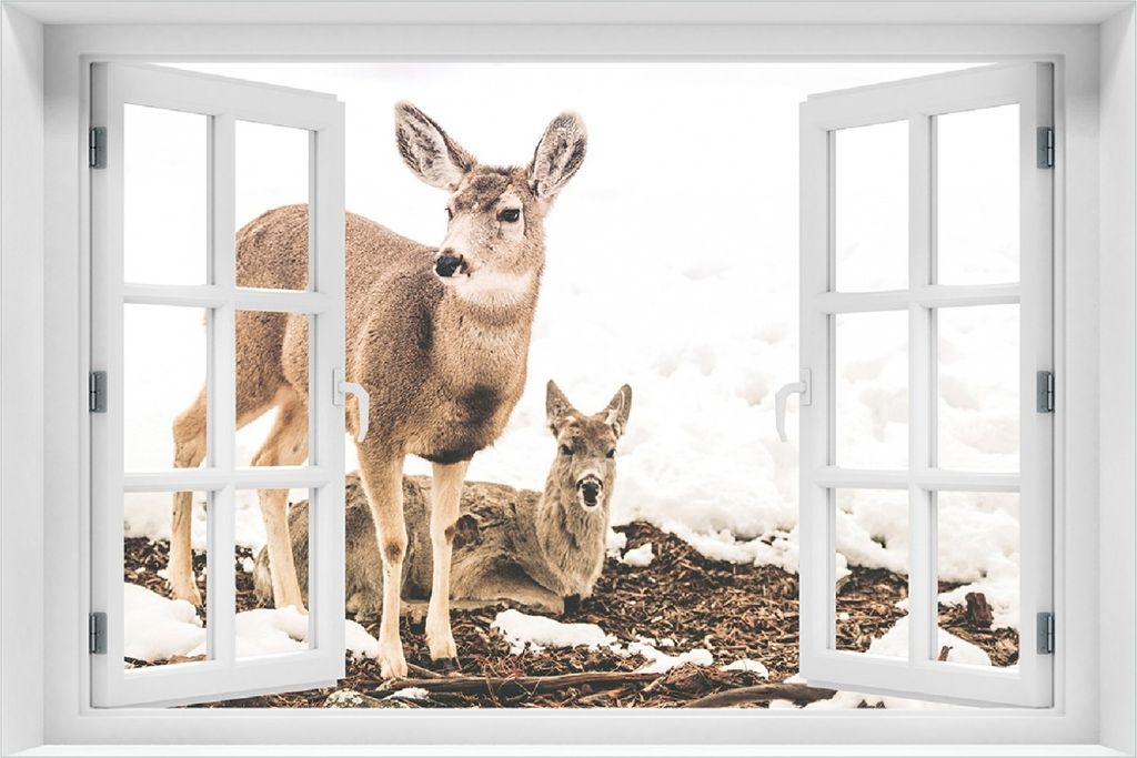 Wallario selbstklebendes Poster mit Fenster-Illusion - Junge Elche im Schnee in Arizona - Amerika, Größe: 100 x 150 cm