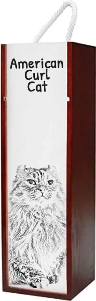 Gatto Americano Riccio Scatola Vino Legno Art-Dog | Regalo Gatto Personalizzato