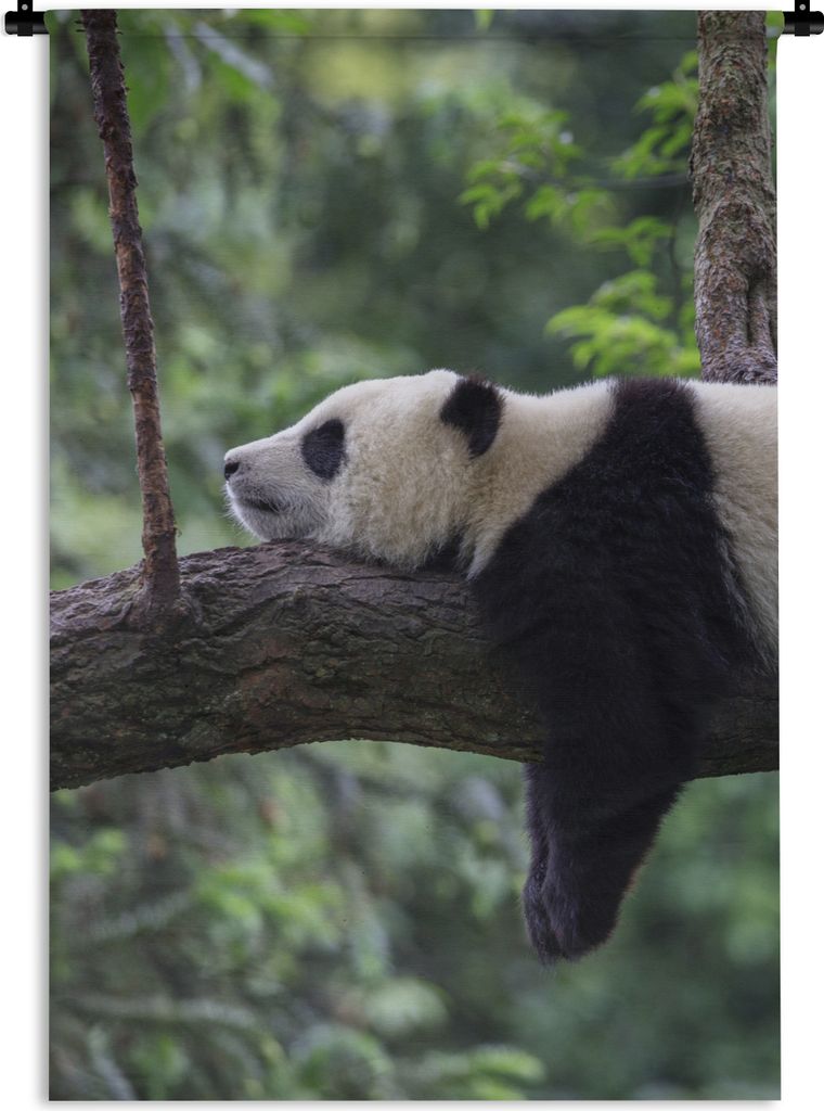 MuchoWow® Wandteppich Wandbehang Panda - Baum - Tiere - Produktbild 
