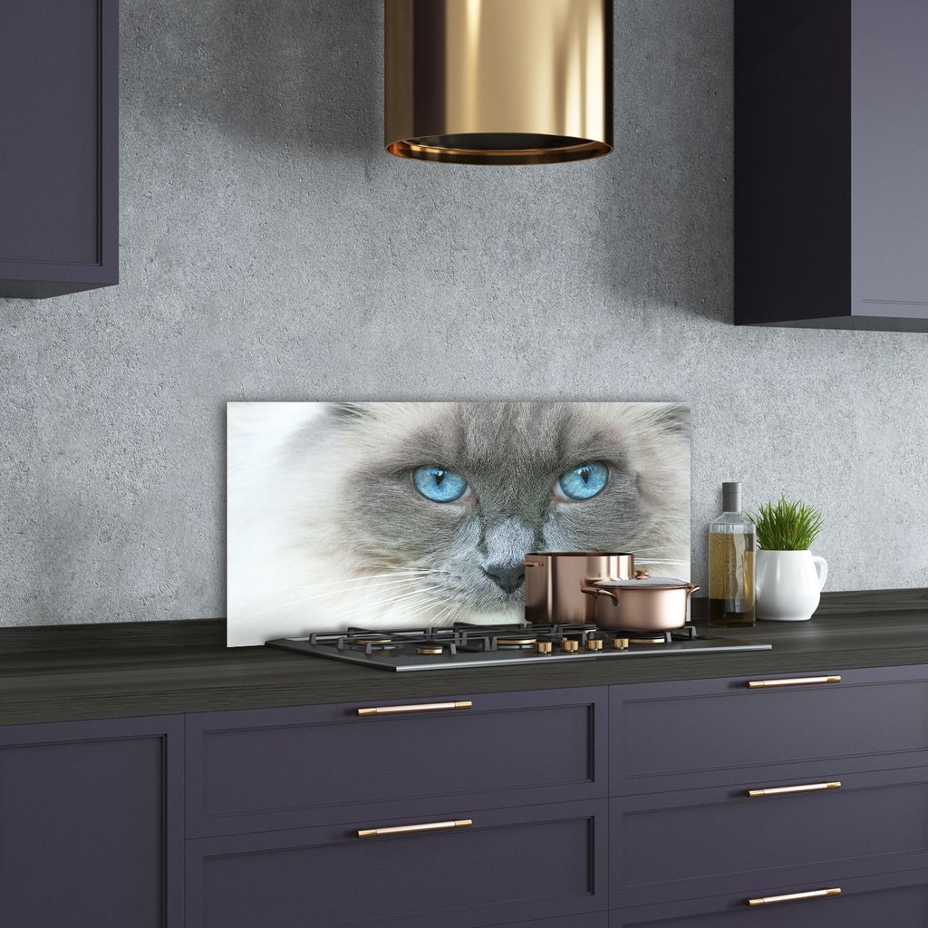 Tulup Küchenrückwand Spritzschutz aus Glas -100x50 -Spritzschutz auf gehärtetes GlasDeko Tiere Katze Blaue Augen
