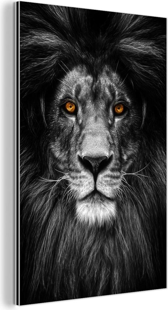 MuchoWow Wanddekoration Metall Metallbild Wandkunst 100x150 cm Wildtiere - Porträt - Farbe MuchoWow Aluminium Gemälde - Bild