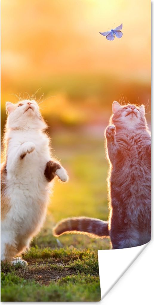 MuchoWow Poster Katzen - Schmetterling - Sonnenuntergang - Gras - Natur 20x40 cm - Plakat - Foto