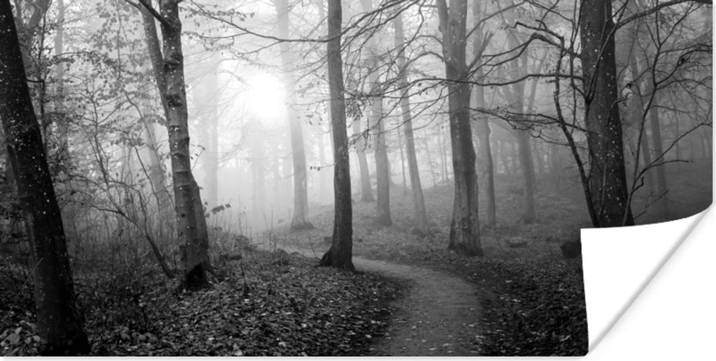 MuchoWow Poster Nebliger Waldweg - schwarz und weiß 80x40 cm - Wanddeko