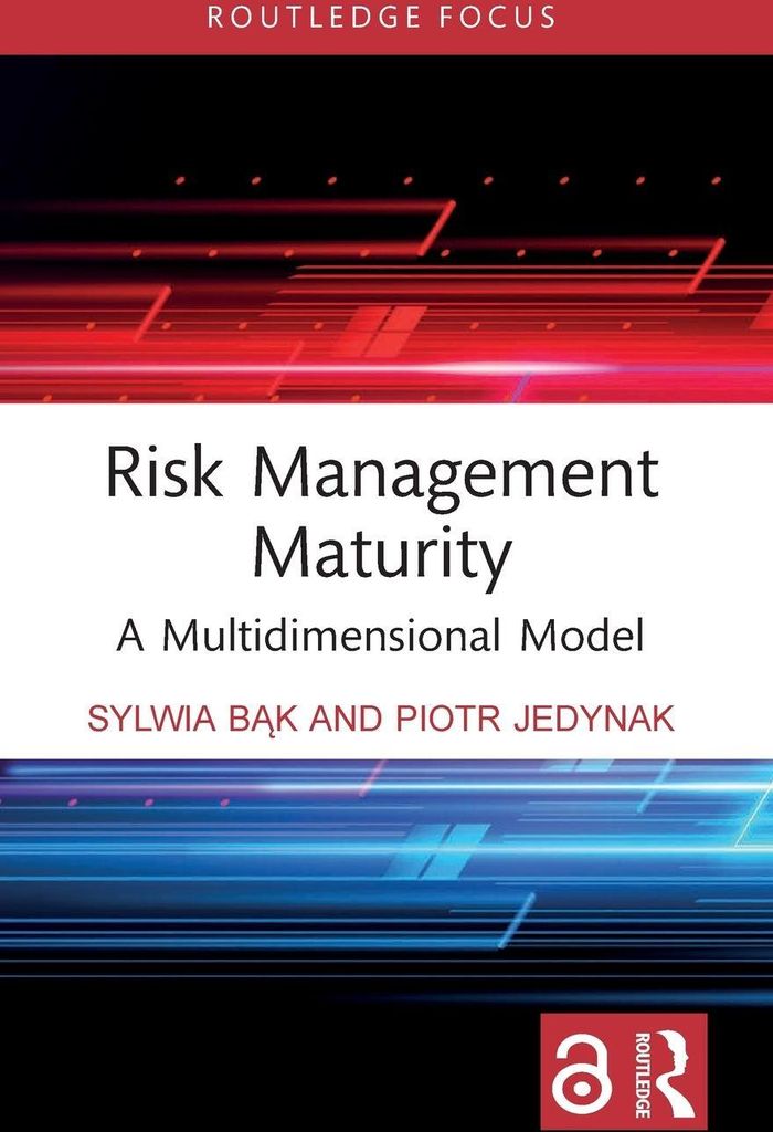 Risk Management Maturity