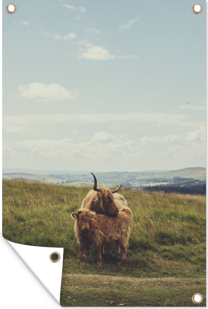 MuchoWow 40x60 cm Outdoor-Poster Gartendeko Sichtschutz Garten Poster für den Garten Schottische Highlander - Gras - Wolken - Tiere