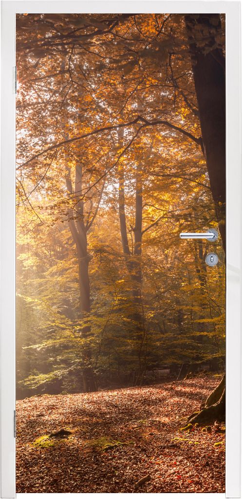 MuchoWow Türtapete Selbstklebende Türfolie Bäume - Herbst - Orange 80x215 cm Türposter Türaufkleber Klebefolie Türklebefolie - Selbstkleben...