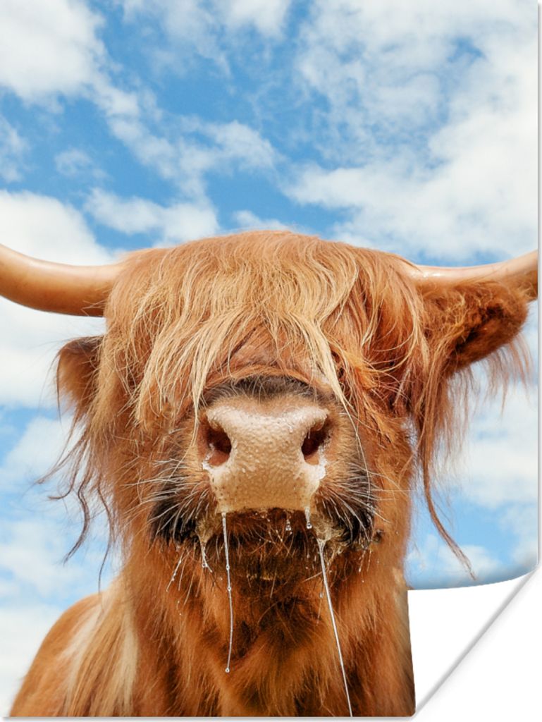 MuchoWow Poster Schottischer Highlander - Wolke - Tiere 30x40 cm - Wandplakat - Poster Kinderzimmer