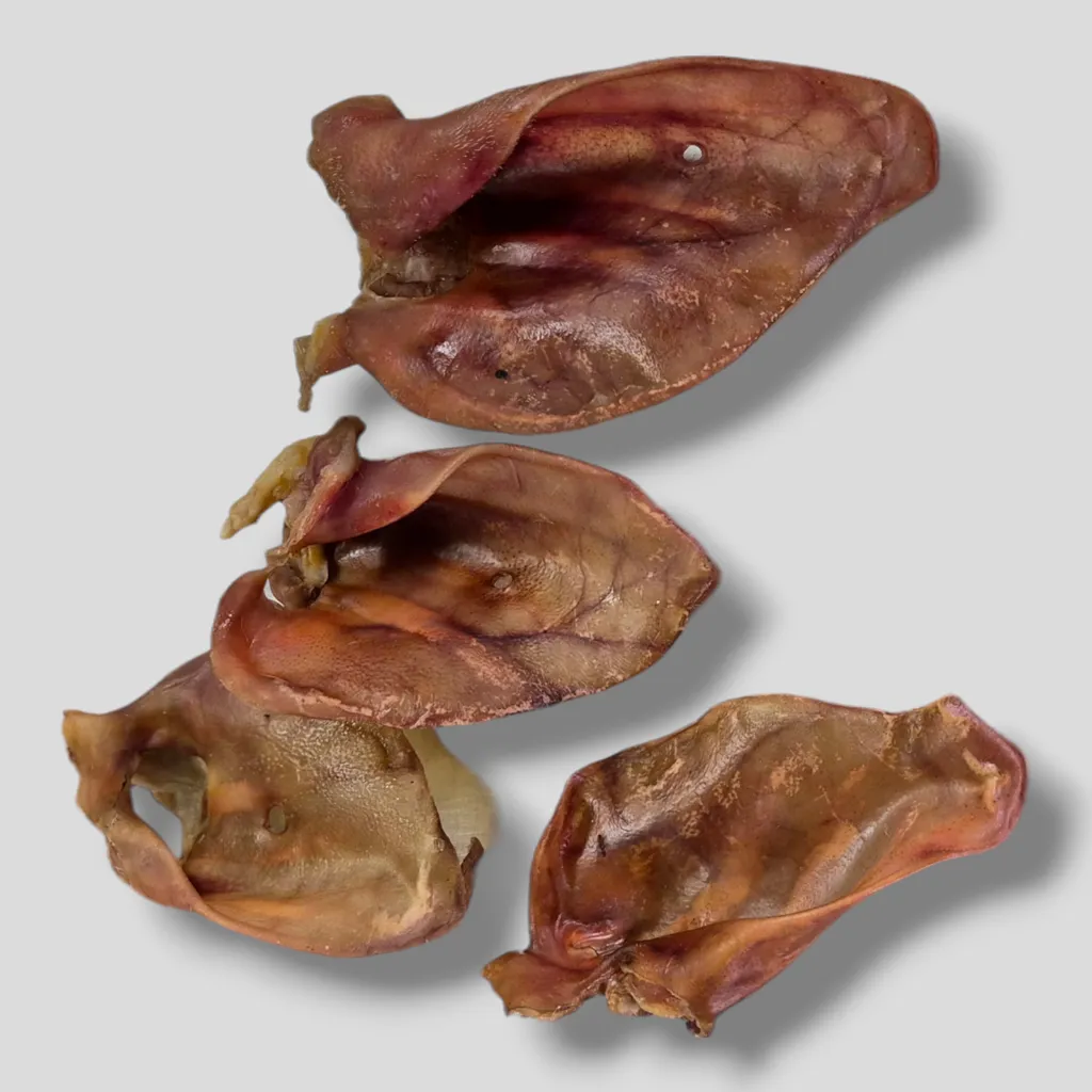 Selezione Premium: 50 Orecchie di Maiale Intere - Snack Naturale Cani