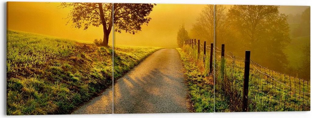 Bild auf Leinwand - Leinwandbild - Feld Straße Baum - 150x50cm - Wand Bild - Wanddeko - Wandbilder - Leinwanddruck - Bilder - Kunstdruck - Wanddek...