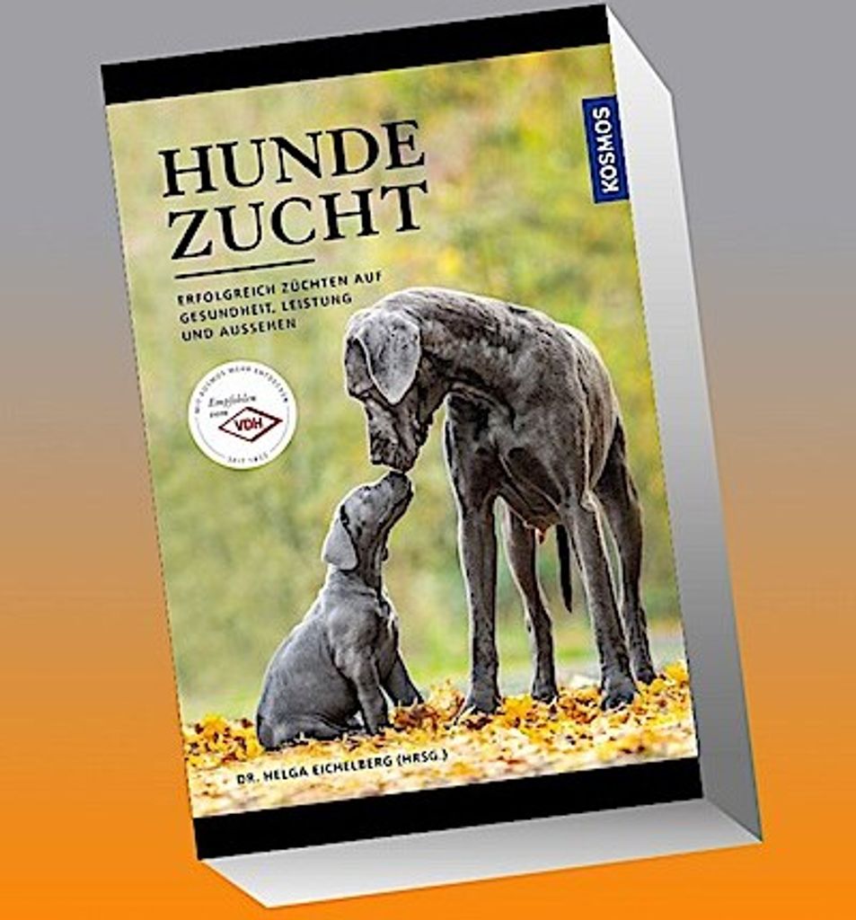 Hundezucht