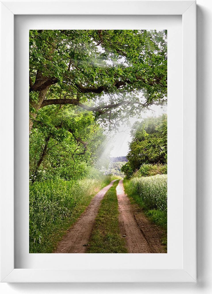 Weg, Bäume und Sonnenstrahlen– Wandbild mit Rahmen – Gerahmtes Bild – Wanddekoration – 20x30 cm – Weiß