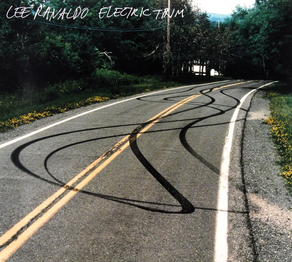 Livre d'Art Lee Ranaldo Garniture électrique pour Collectionneur de Musique