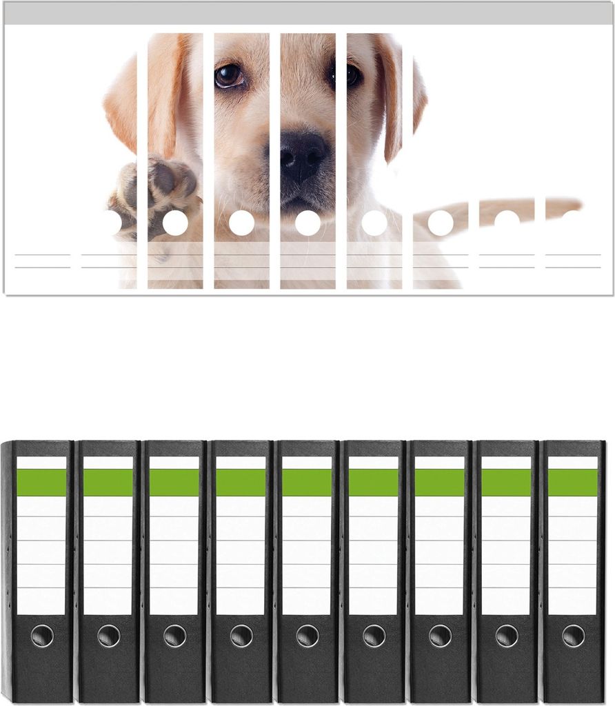 Wallario 9 Stück breite Ordner inkl. Klebeetiketten mit Motive Süßer Labrador-Welpe sagt Hallo - Set mit Rückenschildern / Ordnerrücken Stickern