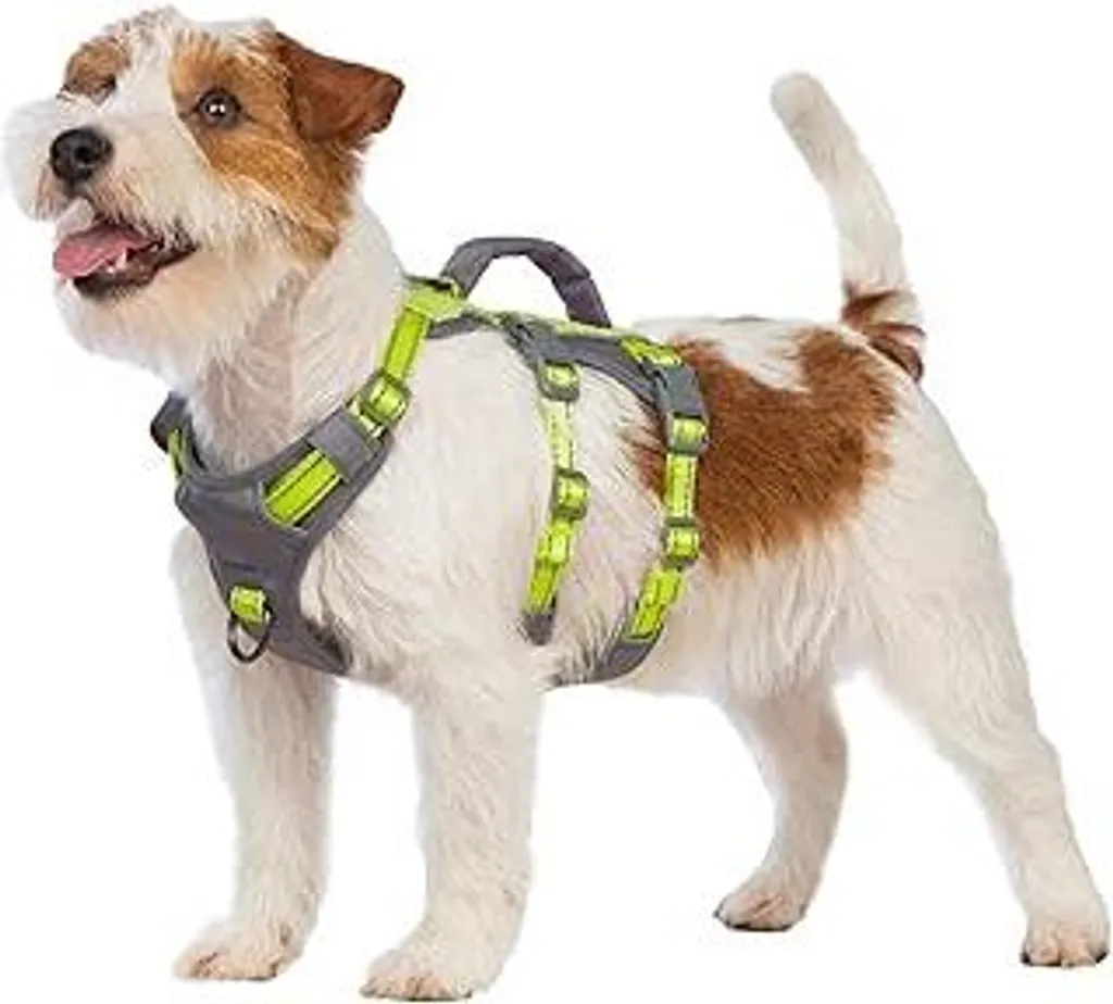 Libertà e Sicurezza: Huntboo Pettorina Cane XS Verde Chiaro