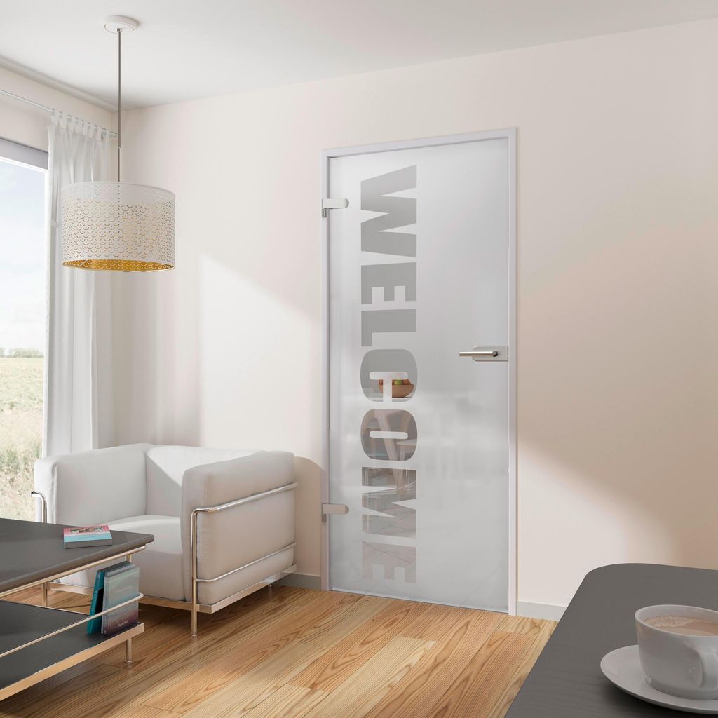 Tür Drehtür mit Beschlag Glas ESG Glastür Wohnungstür 834x1972 DIN links DIN rechts - Tür + Beschlag DB03