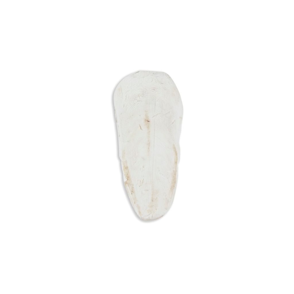 Akinu Sépiová kost VOLNĚ (1kg) 15 - 20 cm Obrázok produktu 
