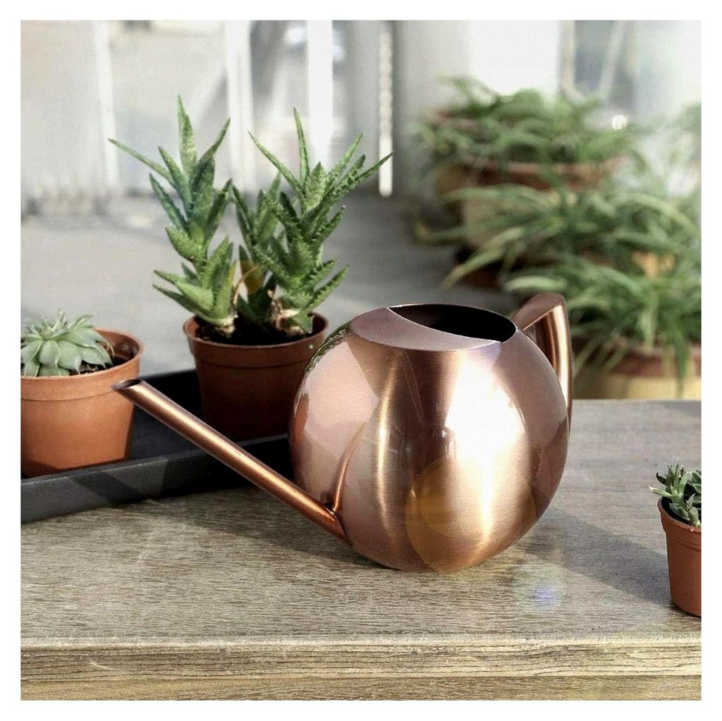 Edelstahl-Gießkanne, 1 L Fassungsvermögen, Langer Auslauf, Bonsai-Gießkanne, Streutopf für Topfpflanzen und Blumen (Bronze)