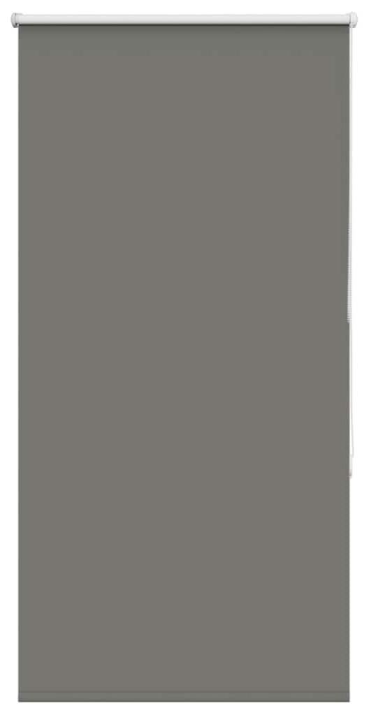 vidaXL zatemňovací roleta šedá 70x130 cm šířka látky 65,7 Obrázek produktu 