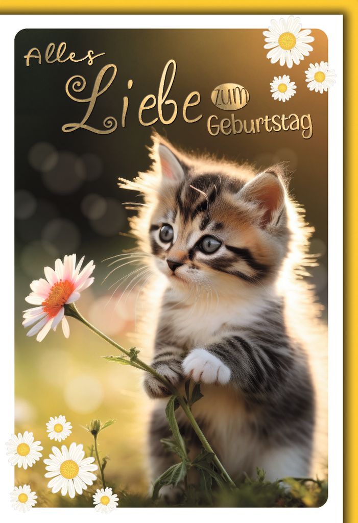 Geburtstag Glückwunschkarte mit Umschlag Kätzchen Katze mit Margarite alles Liebe