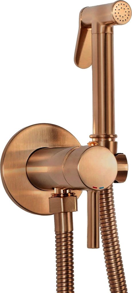 A close-up view of a bidet faucet with a hose and sprayer, mounted on a wall.