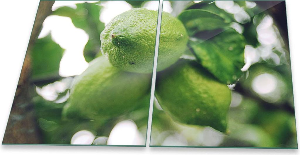 Herdabdeckplatte Glaskeramik 2-Teilig 2x40x52 Obst Grün Abdeckung Spritzschutz Glas