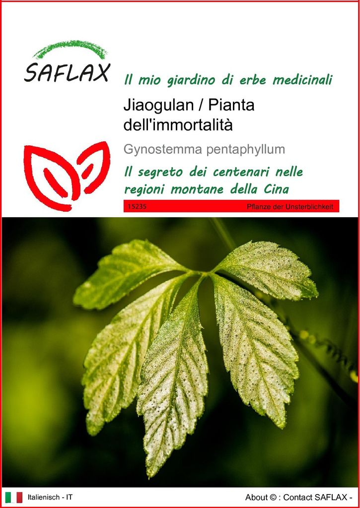 SAFLAX  - Jiaogulan / Pianta dell'immortalità - 30 semi - Immagine del prodotto 
