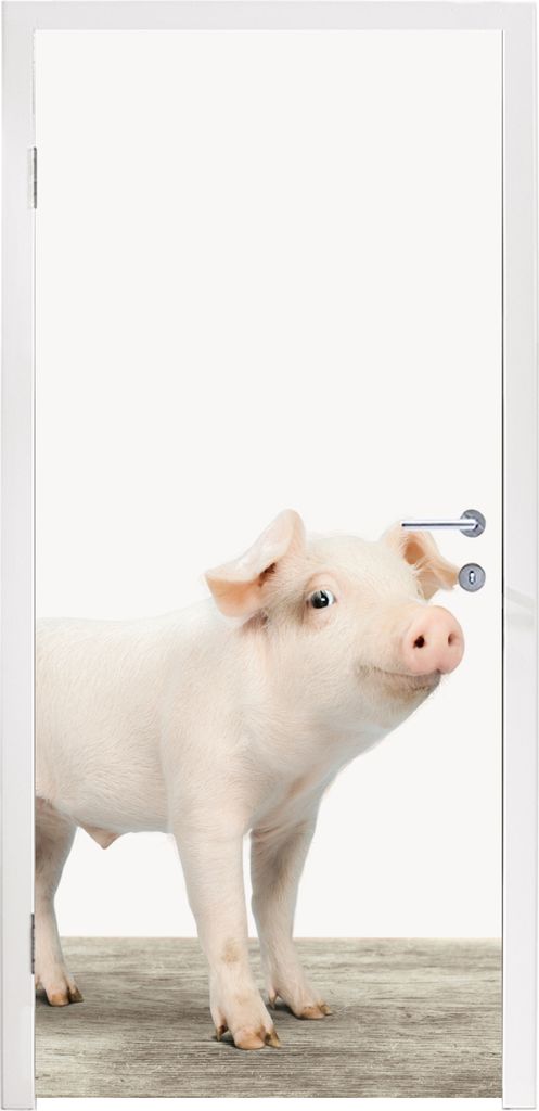 MuchoWow Türtapete Selbstklebende Türfolie Ferkel - Groß - Tiere - Rosa - Jungen - Mädchen - Kinder 80x215 cm Türposter Türaufkleber Klebef...