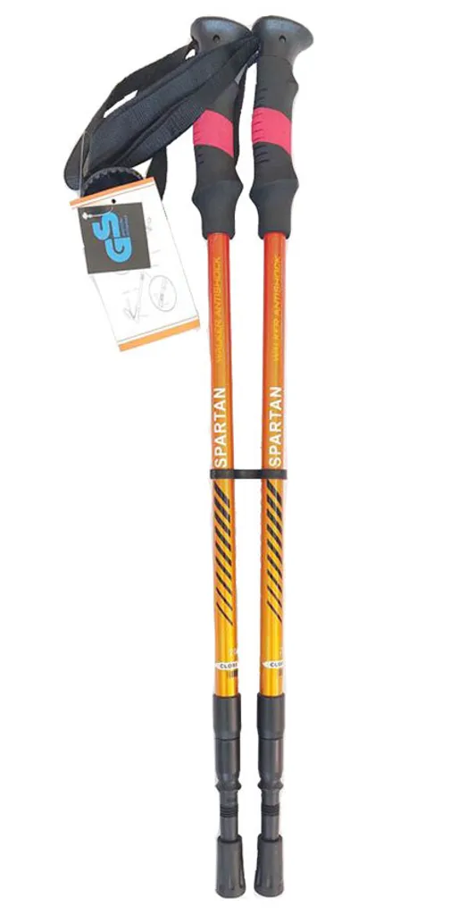 Bâtons de Randonnée pour Montagne et Trek avec Amorti Anti-choc