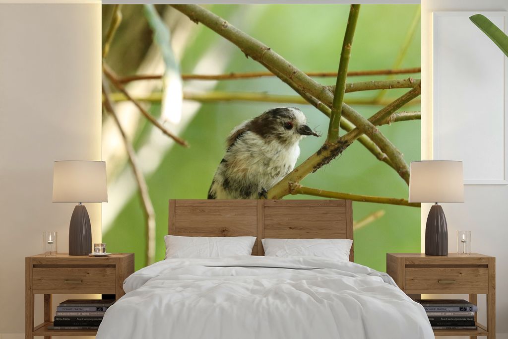 MuchoWow Fototapete für Wohnzimmer oder Schlafzimmer Wandtapete Vinyl Motivtapete Vogel zwischen den Zweigen - 350x350 cm - Schlafzimmertapete