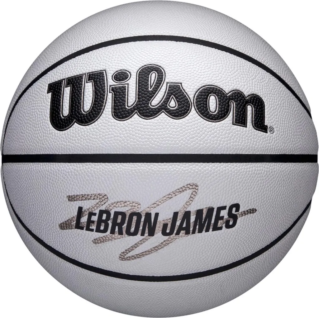 Wilson Ballon Basket NBA Lebron Icon WZ4030501XB Revêtement Composite