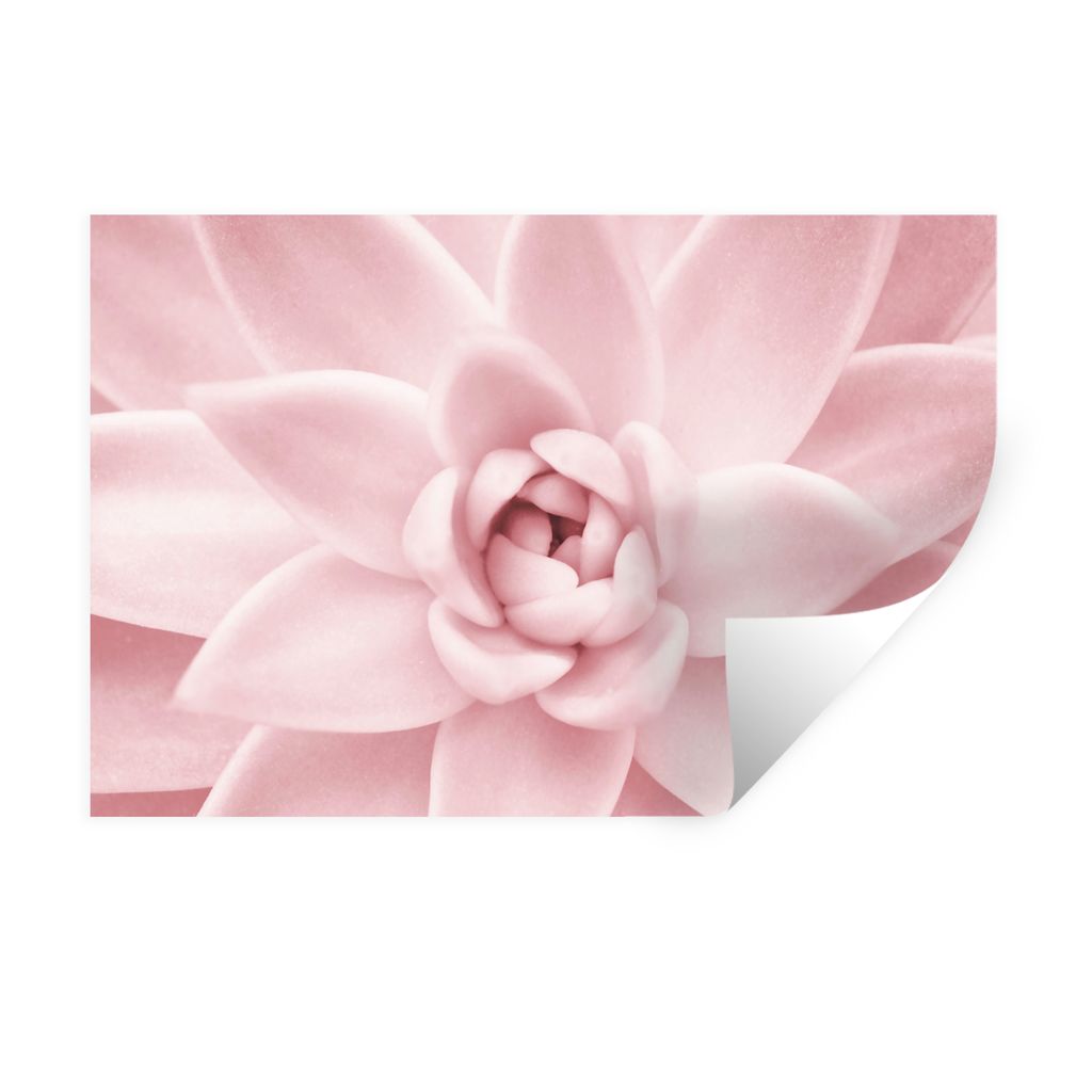 MuchoWow Wandtattoo Wandsticker Wandaufkleber Blume - Rosa - Natur - Pflanze 60x40 cm Selbstklebend und Repositionierbar - Wierderverwendbar - Se...