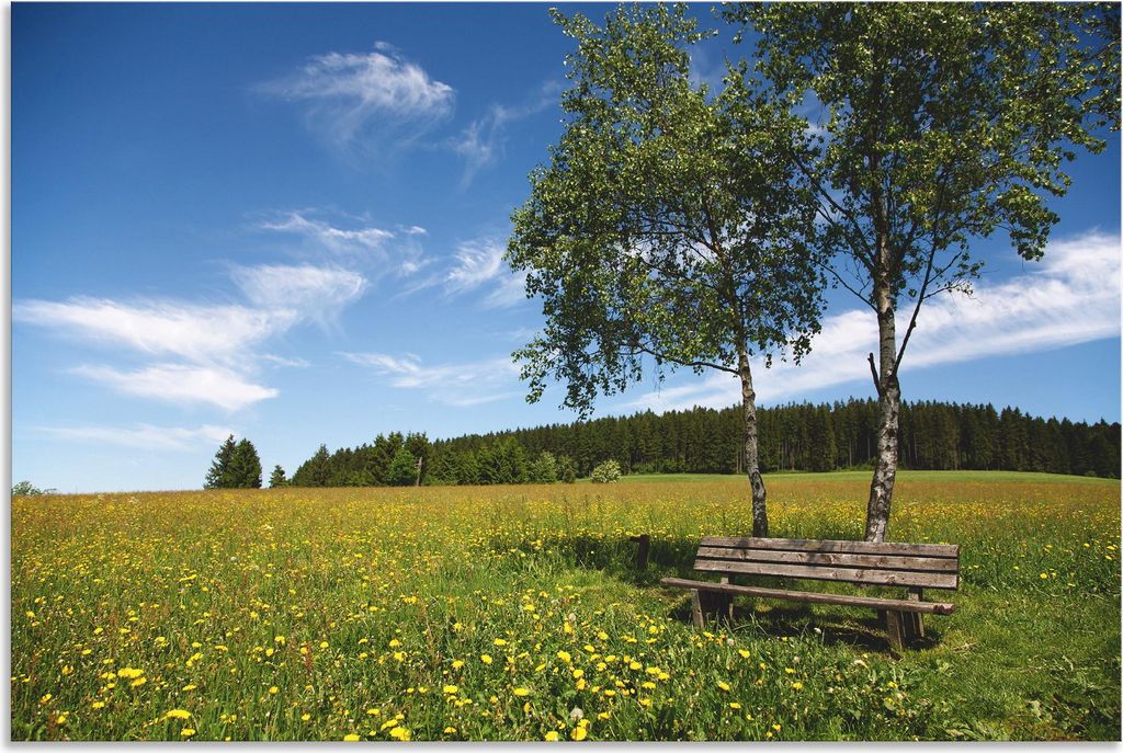 ARTland Wandbild Alu für Innen & Outdoor Einsame Bank auf einer Löwenzahnwiese Größe: 30x20 cm
