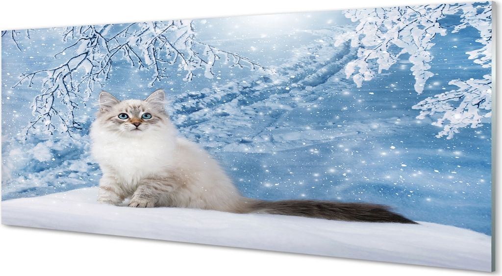 Glasbilder 125x50 Wandkunst Katze Winter