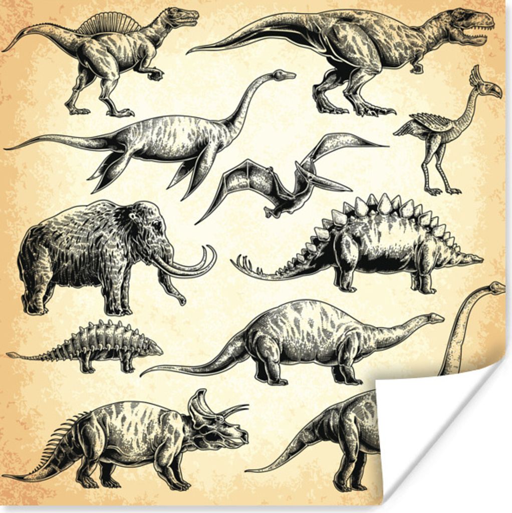 MuchoWow Poster Dinosaurier - Vintage - Zeichnung - Kinder - Kinder - Kind 50x50 cm - Wohnzimmerdekoration