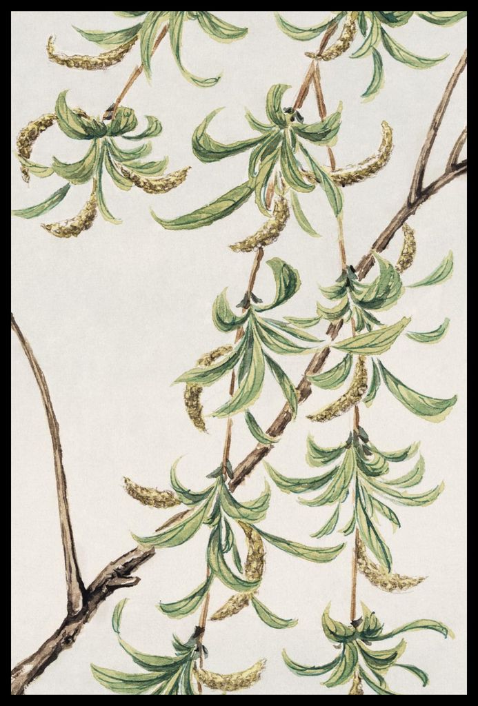 Plakat 40x60cm Yanagi, Morikaga Japanischer Vintage für das Wohnzimmer