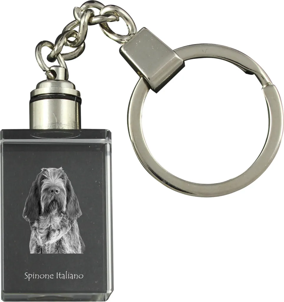 Art-Dog Portachiavi Spinone Italiano in Cristallo Ottico con LED