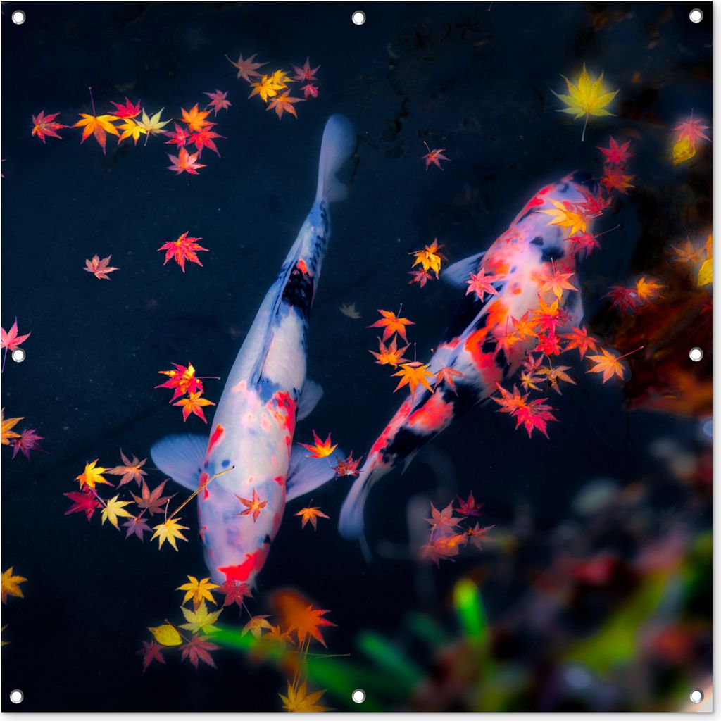 MuchoWow 100x100 cm Outdoor-Poster Gartendeko Sichtschutz Garten Poster für den Garten Koi - Fisch - Regenbogen - Blätter