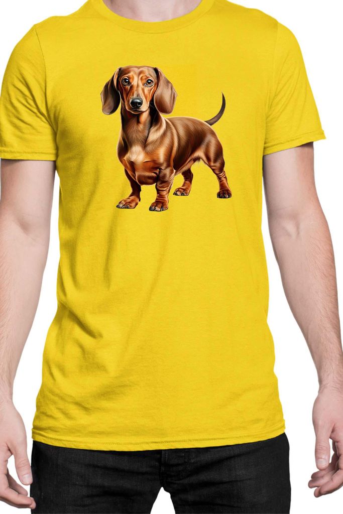 Herren T-Shirt Dogs Breeds Dachshund Dog Breed 008, Man S / Gelb