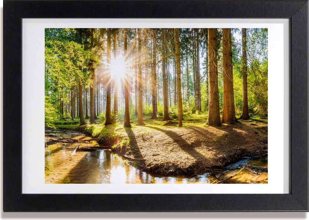 Bild 30x20 MDF-Rahmen, Wandkunst Panorama Wald