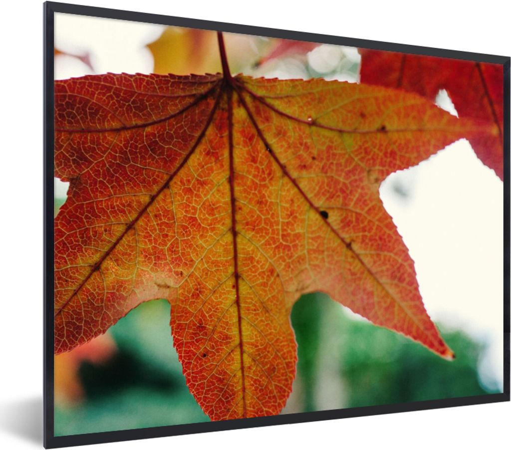 MuchoWow Gerahmtes Poster Herbst - Landleben - Blätter - Jahreszeiten - Landleben 80x60 cm - Poster mit Schwarzem Bilderrahmen Wandposter Rahmen...
