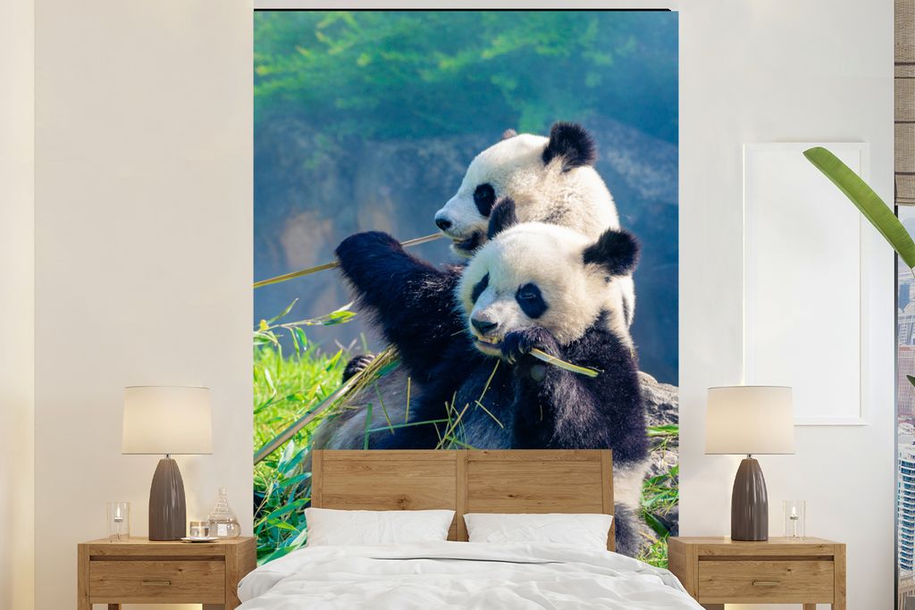 MuchoWow Fototapete für Wohnzimmer oder Schlafzimmer Wandtapete Vinyl Motivtapete Panda - Bambus - Gras - Tiere - 160x240 cm - Vinyltapete