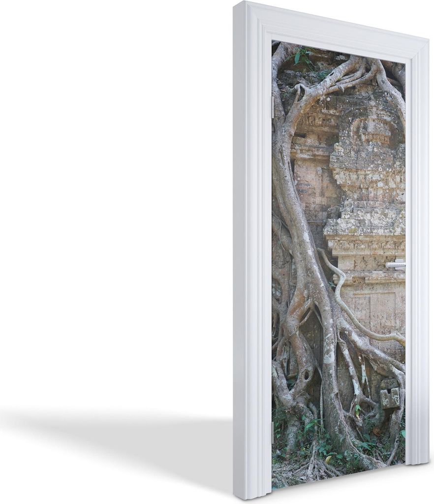 Innentür Folie Modern Selbstklebende Wandsticker Personalisiert - Natur und Ruinen - 75 x 205 cm