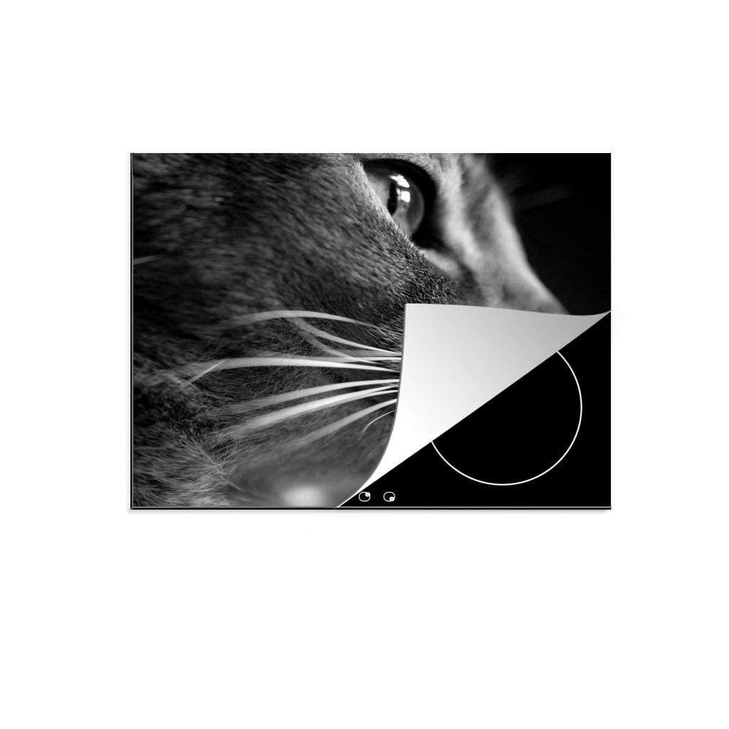 KitchenYeah Herdabdeckplatte Katze - Tiere - Abessinier - Porträt , 60x52cm, Küche Deko, Glaskeramikkochfeld Herdabdeckung, Abdeckplatte fùr K...